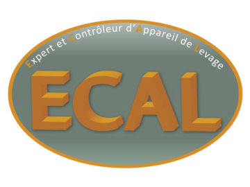 Logo Ecal
